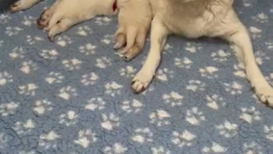 1.